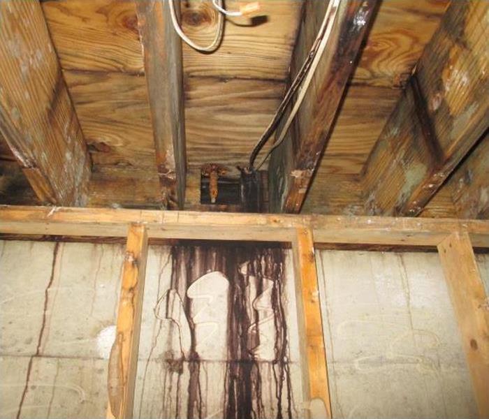 mold and water stains on wall and trusses