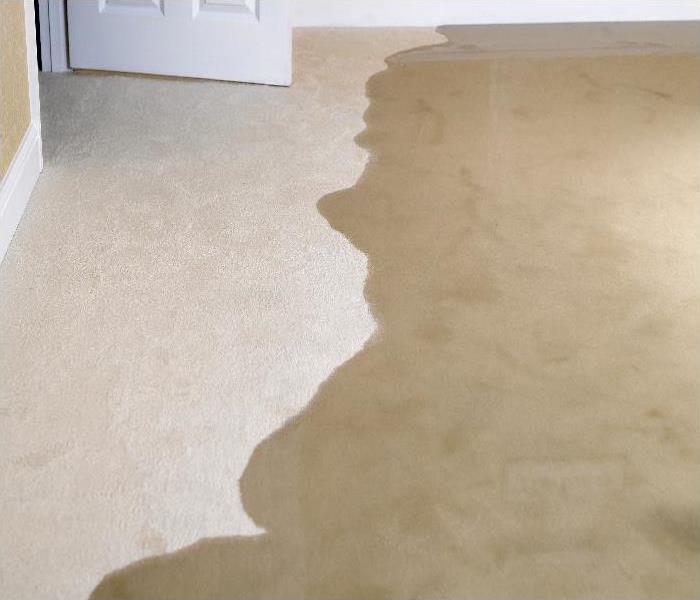 Living room carpet flooding