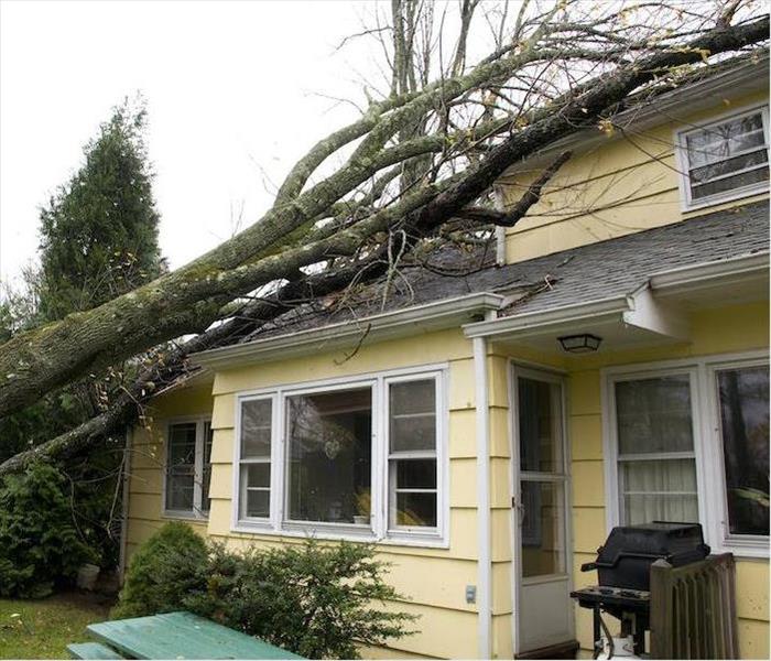 tree fallen into home after storm.
